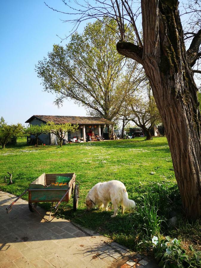 Agriturismo Elianto Ravenna Buitenkant foto